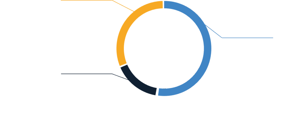 Graphique Actionnaire avec Texte